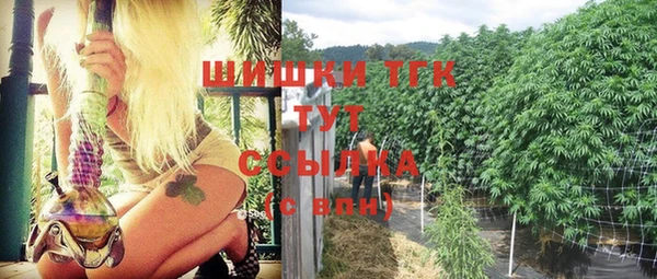 молекула духа Няндома