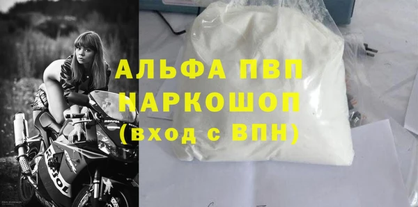 молекула духа Няндома
