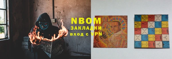 молекула духа Няндома