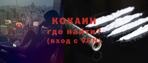 молекула духа Няндома