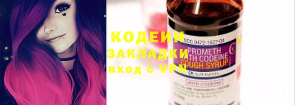 молекула духа Няндома