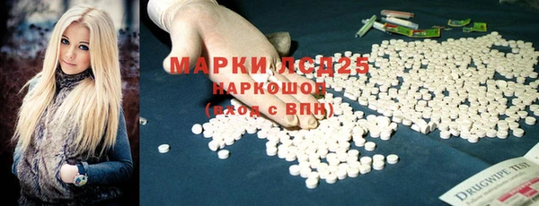молекула духа Няндома
