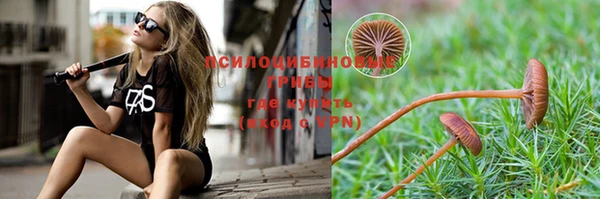 a pvp Нязепетровск