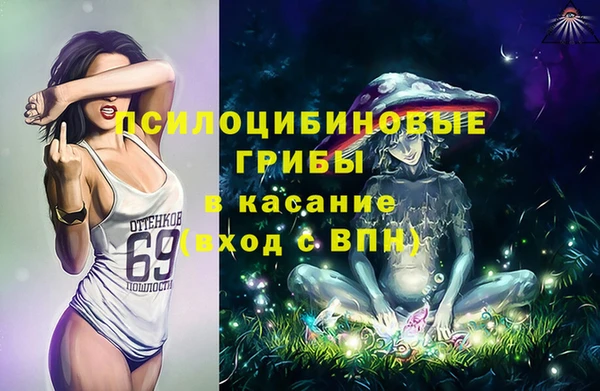 молекула духа Няндома