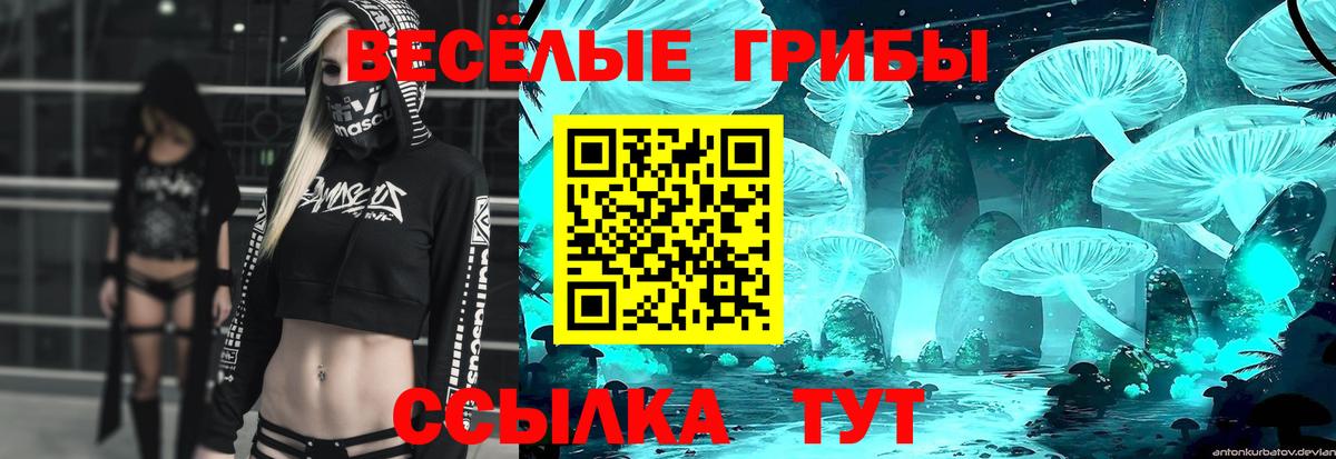 Галлюциногенные грибы Cubensis Котовск