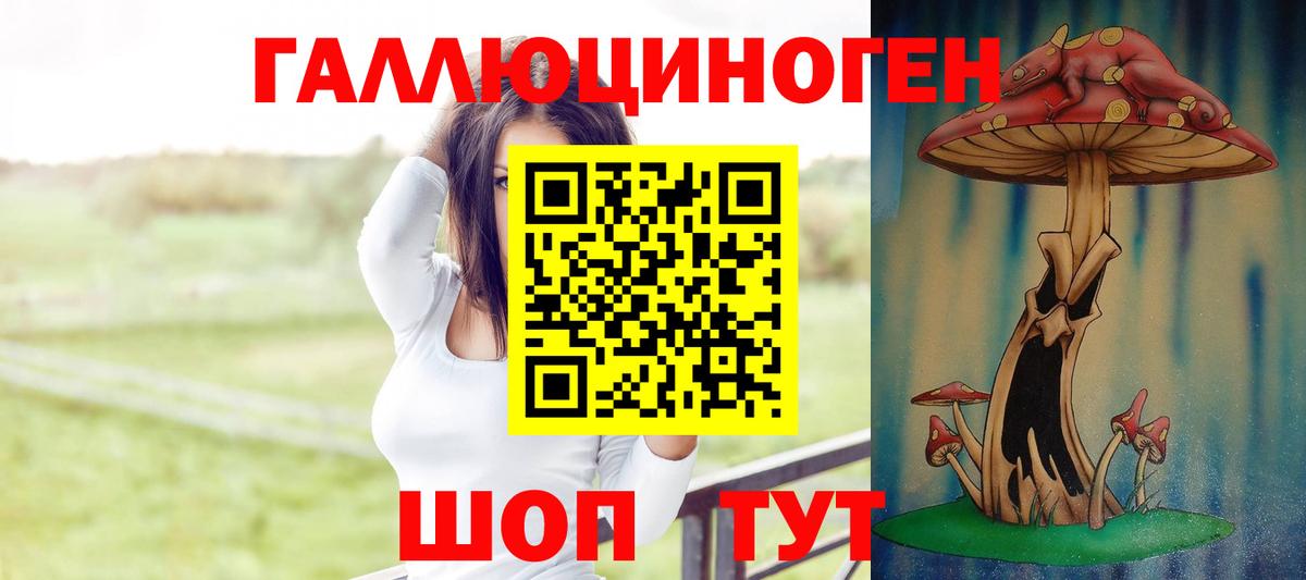 Псилоцибиновые грибы Cubensis  Вход с VPN  Котовск 